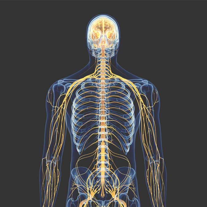 Common Conditions with Chiropractic in Newport Beach