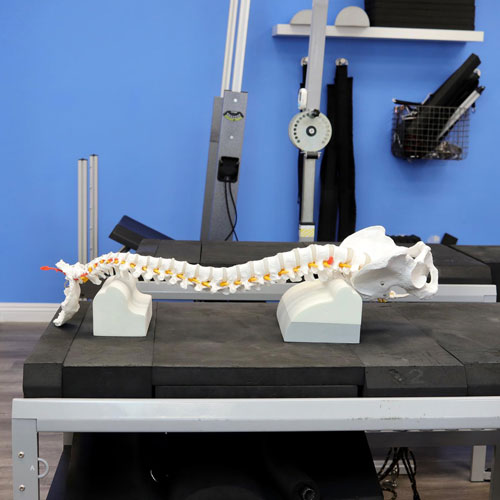 What Does Research Say About Chiropractic Treatment Options