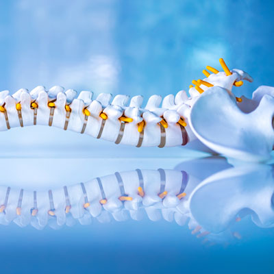 Comprehensive Approach to Pain Relief and Spinal Health