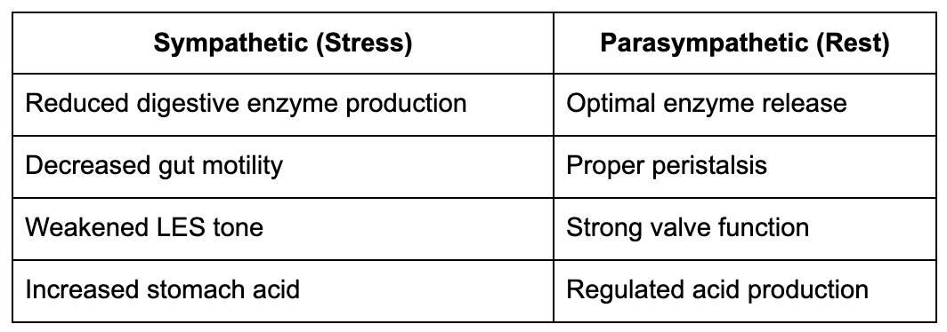 Sympathetic vs parasympathetic effects