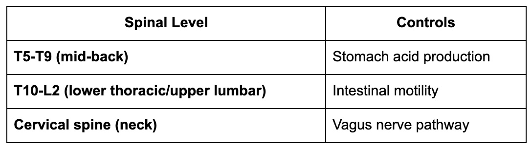 The Neuro-Digestive Link